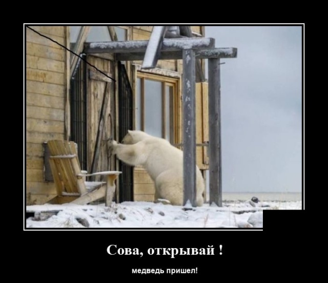 Демотиваторы (20 фото)