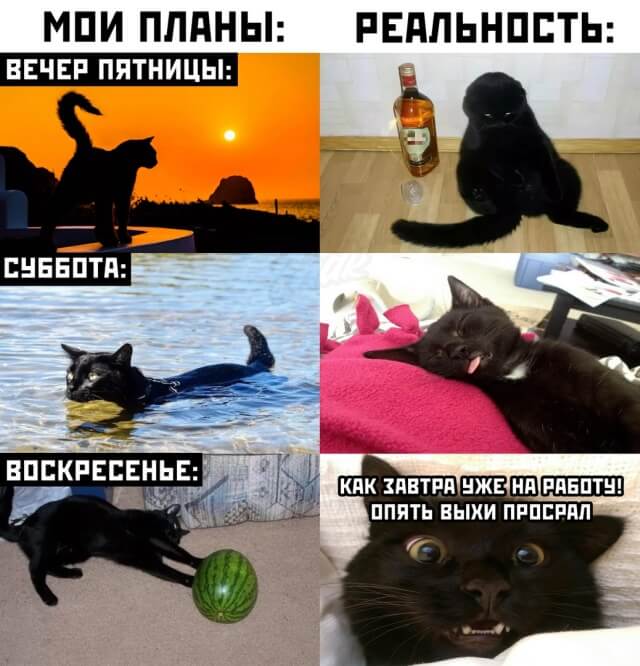 Подборка прикольных фото (63 фото)