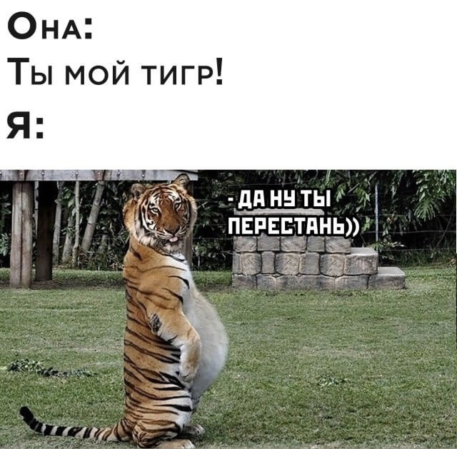 Подборка прикольных фото (62 фото)