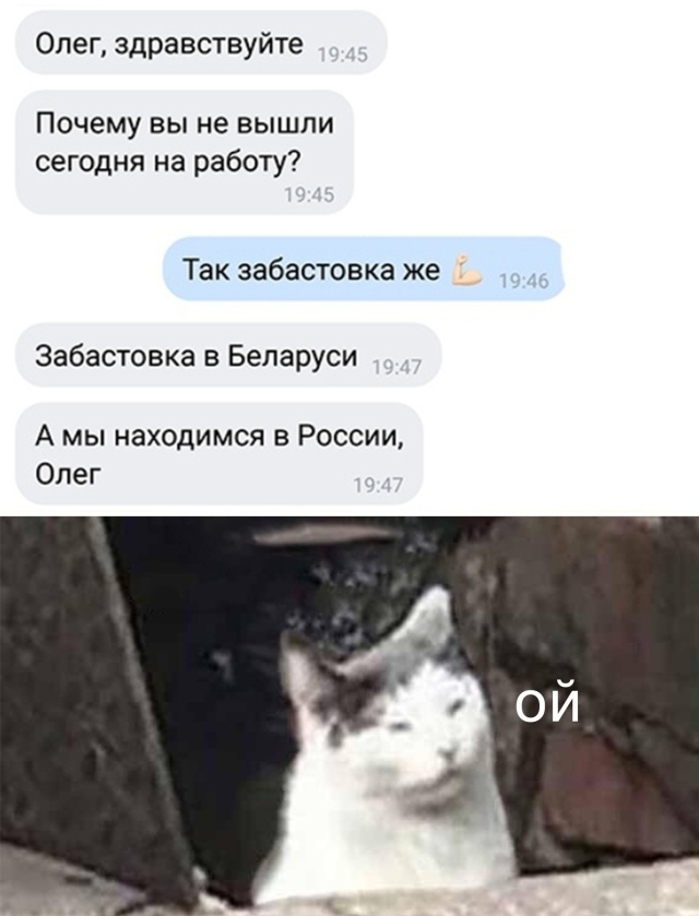 Подборка прикольных фото №2432 (66 фото)