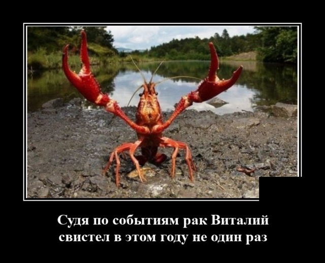 Демотиваторы №2433 (20 фото)