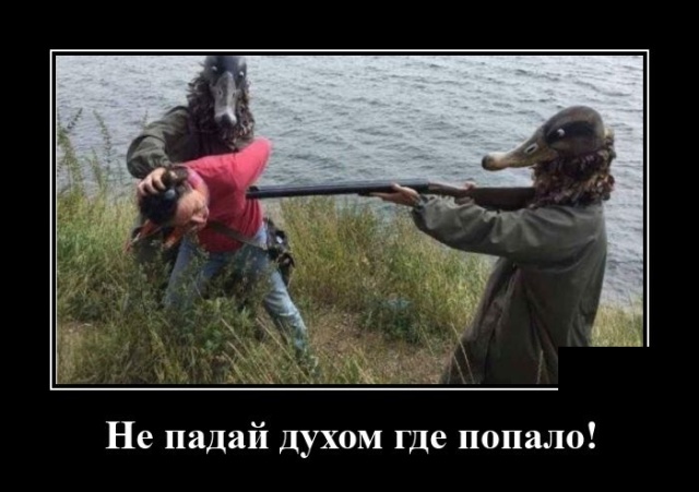 Демотиваторы (20 фото)
