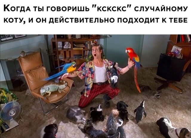 Подборка прикольных фото №2436 (63 фото)