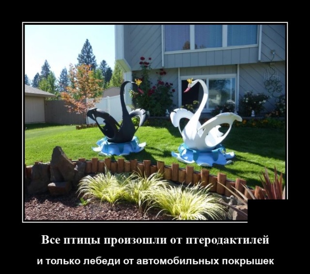 Демотиваторы (20 фото)
