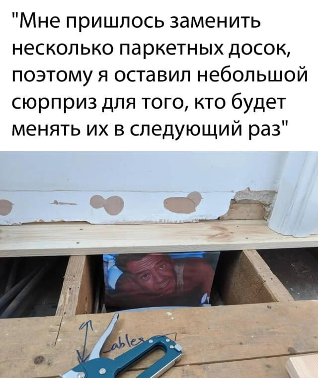 Подборка прикольных фото (67 фото)