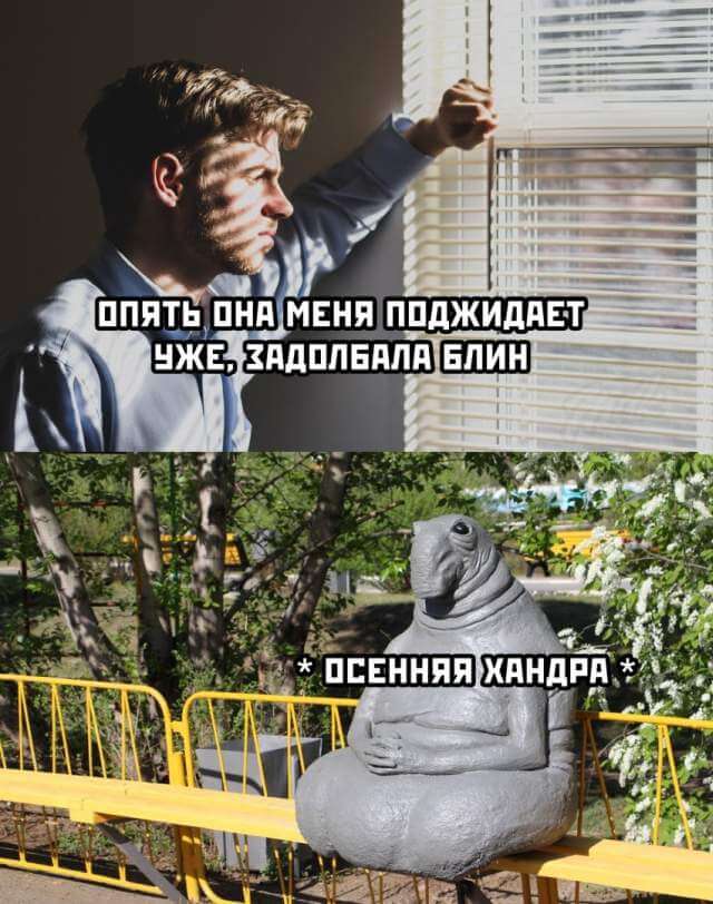 Подборка прикольных фото (66 фото)