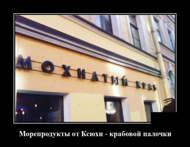 Демотиваторы (20 фото)