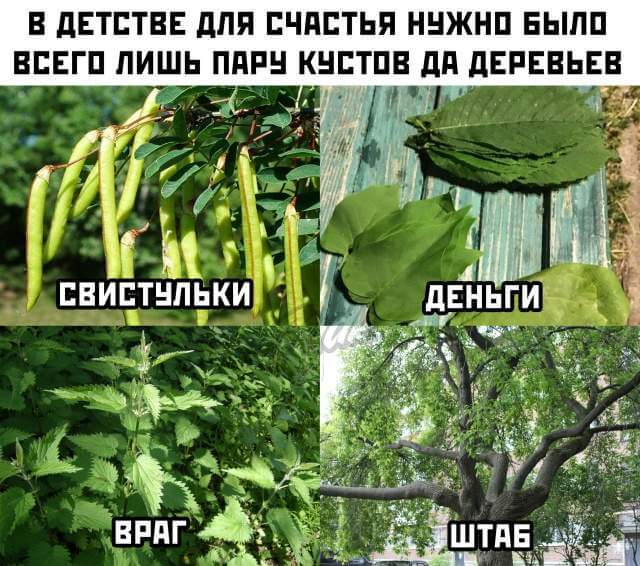 Подборка прикольных фото (69 фото)