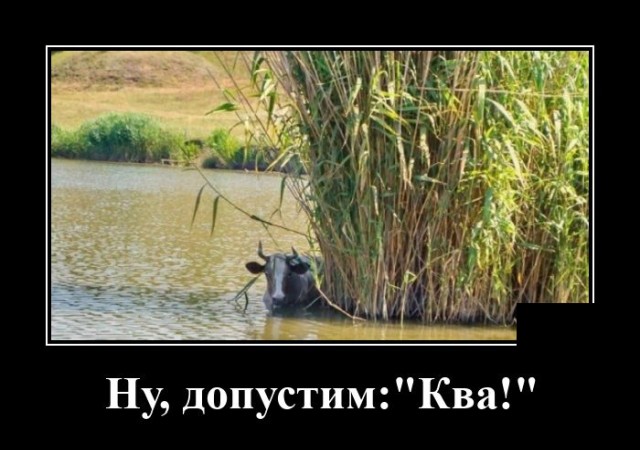 Демотиваторы №2441 (20 фото)