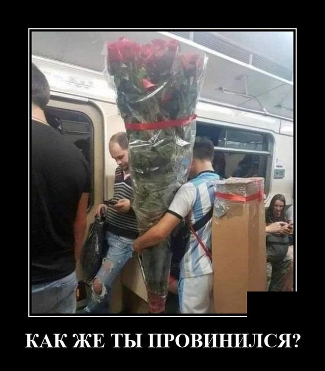 Демотиваторы №2442 (20 фото)