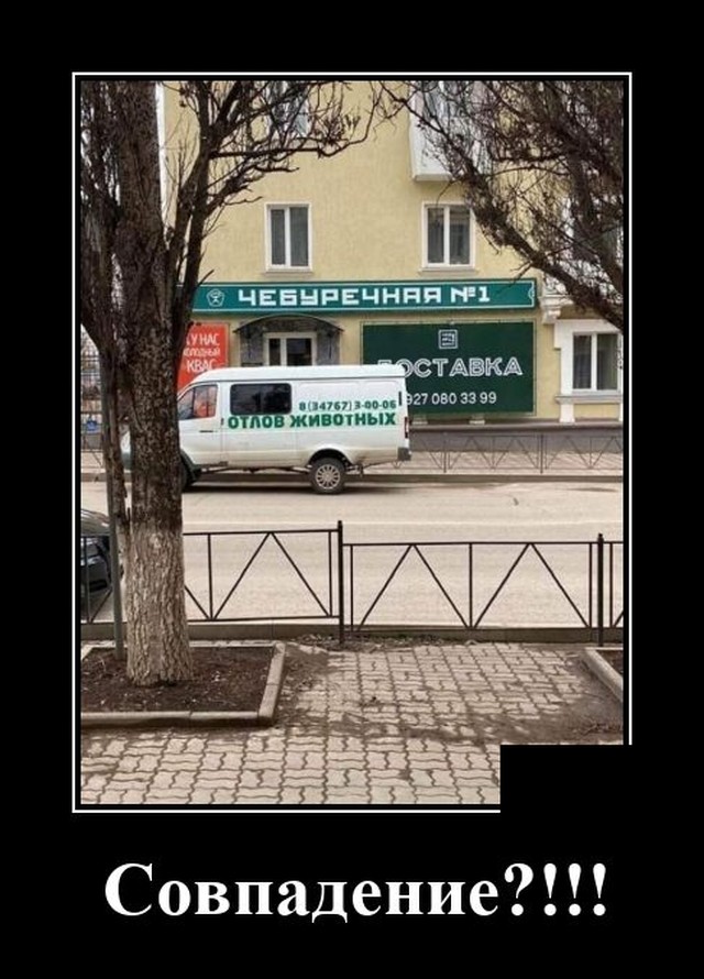 Демотиваторы (20 фото)