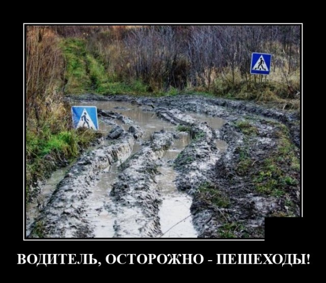 Демотиваторы №2444 (20 фото)
