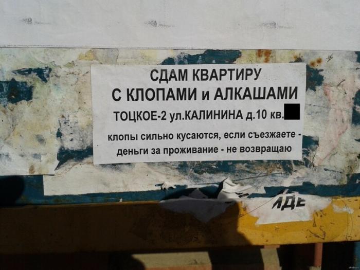 Сюрпризы, которые могут поджидать при съёме квартиры (15 фото)