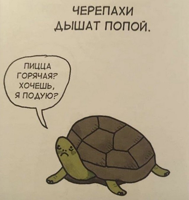 Грустные факты о животных, от которых становится смешно (20 фото)