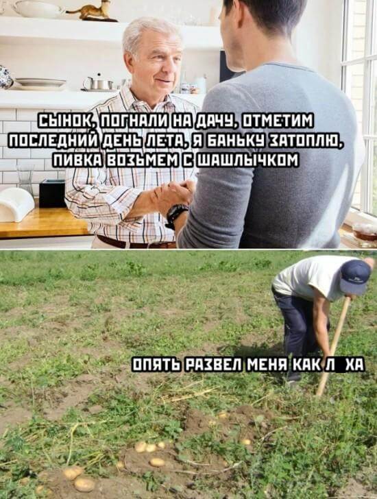 Подборка прикольных фото (62 фото)