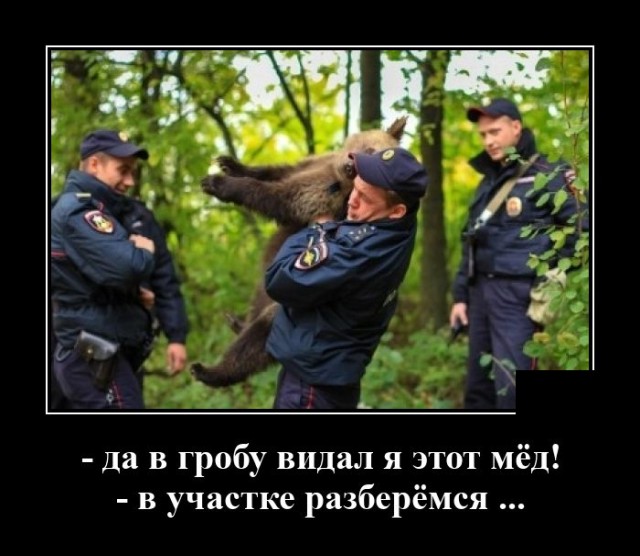 Демотиваторы №2446 (20 фото)