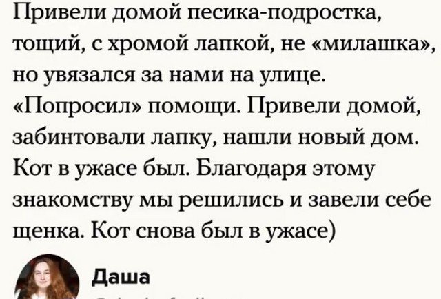 Доброты пост: как пользователи помогли животным в беде (9 фото)