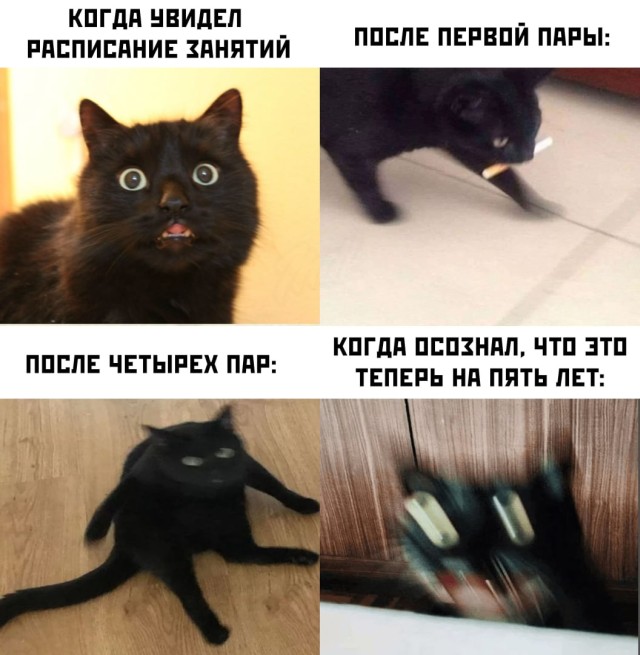 Подборка прикольных фото №2448 (64 фото)