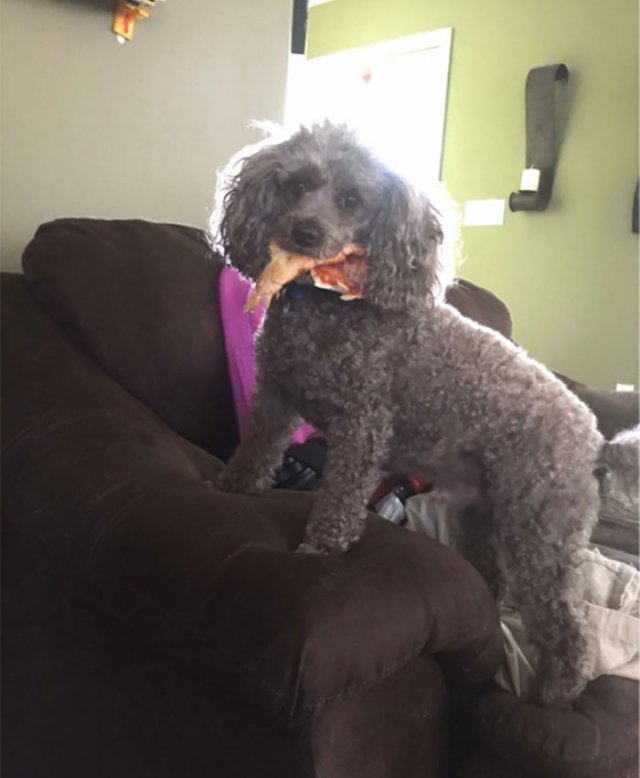 ,     (15 )