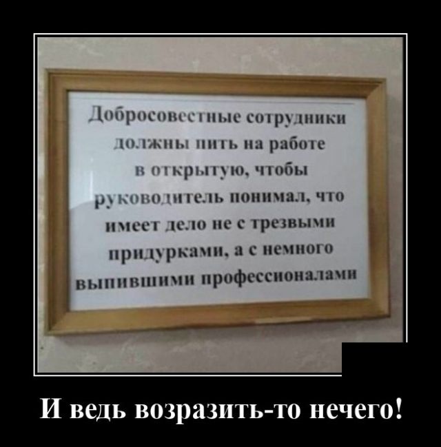 Демотиваторы №2456 (20 фото)