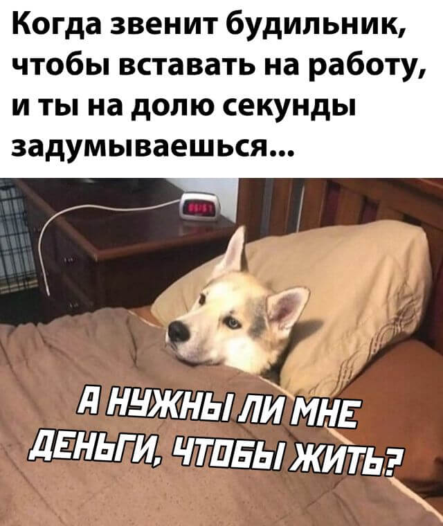 Подборка прикольных фото №2457 (34 фото)