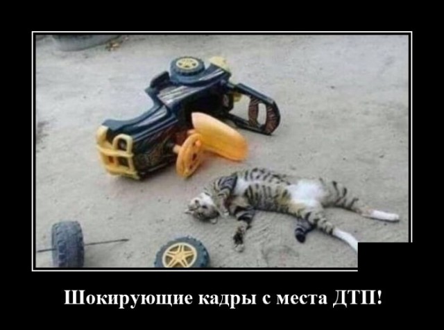 Демотиваторы (20 фото)