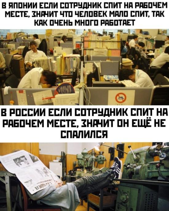 Подборка прикольных фото (31 фото)