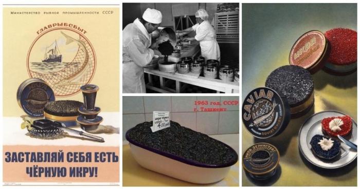 Черная икра и Союз: почему советские дети ненавидят икру (15 фото)
