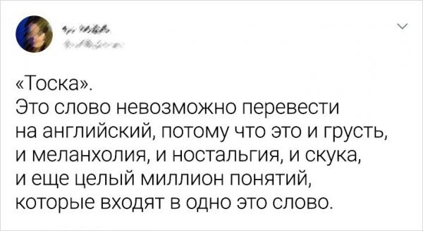 Подборка русских слов, которые невозможно дословно перевести (17 фото)