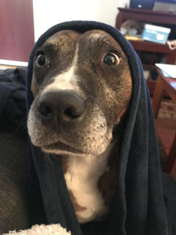   ,    (17 )