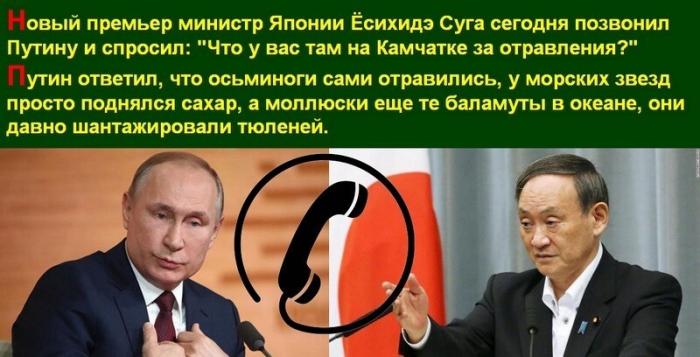 "У осьминогов просто упал сахар": жесткая реакция соцсетей (21 фото)