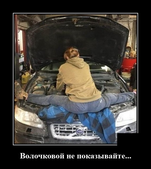Демотиваторы (20 фото)