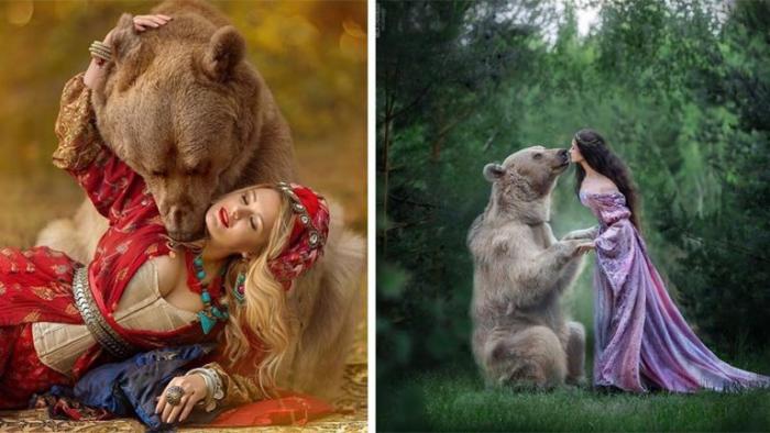Бурый медведь из России делает успешную карьеру модели (20 фото)