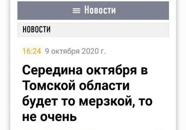 "Перлы" от российских журналистов (10 фото)
