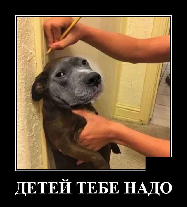 Демотиваторы (20 фото)