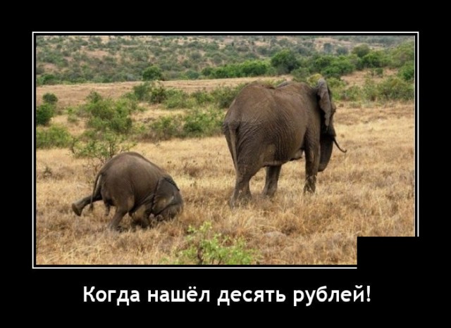 Демотиваторы (20 фото)