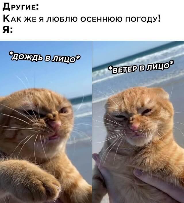 Подборка прикольных фото №2503 (30 фото)