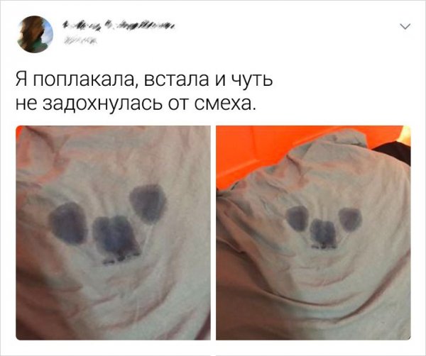 Подборка юмора от самоироничных людей (15 фото)
