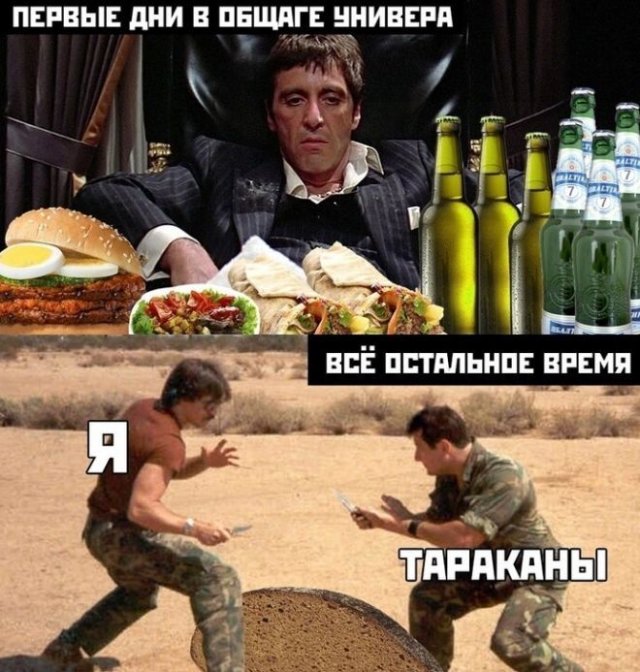 Приколы про жизнь в общежитии (15 фото)