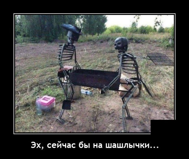 Демотиваторы (20 фото)