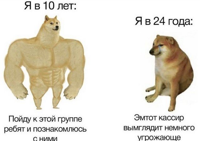 Лучшие шутки и мемы из Сети (15 фото)