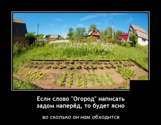 Демотиваторы №2486 (20 фото)