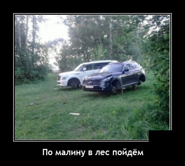 Демотиваторы (20 фото)