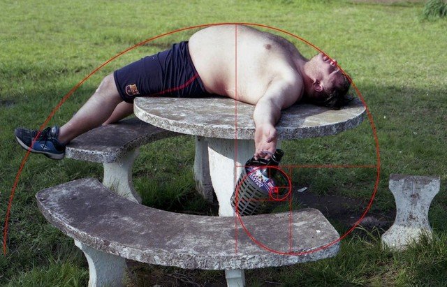 "Золотое сечение" в реальной жизни (13 фото)