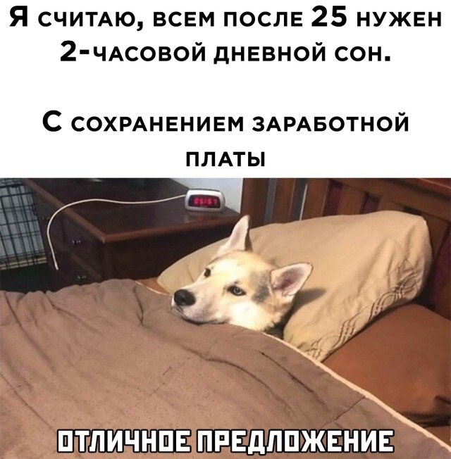 Подборка прикольных фото (30 фото)