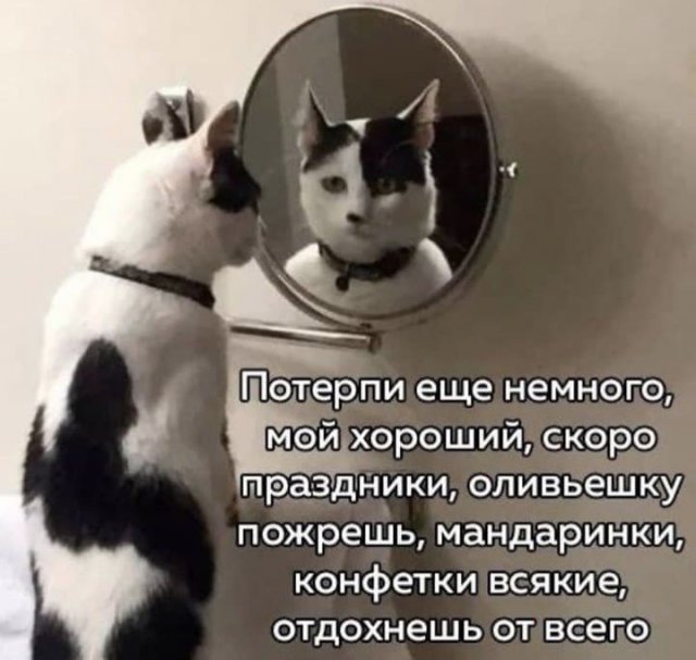Шутки и мемы из Сети (15 фото)