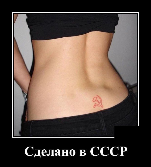 Демотиваторы №2535 (20 фото)