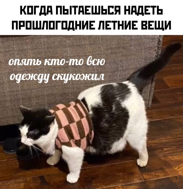 Подборка прикольных фото №2695 (30 фото)