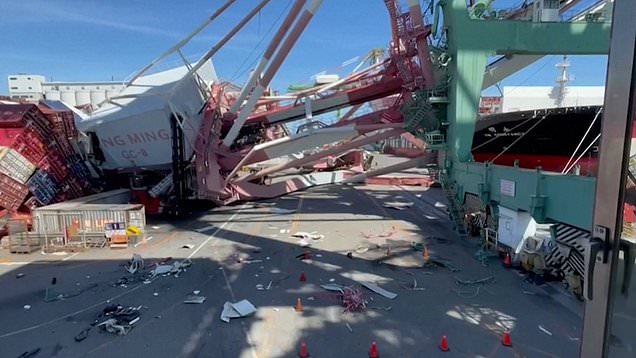Контейнеровоз врезался в док порта и опрокинул краны (2 фото)