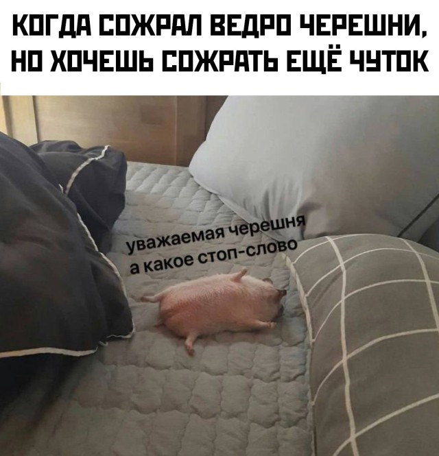 Подборка прикольных фото №2710 (29 фото)